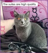  ?? ?? The suites are high quality.