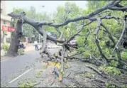  ?? VIPIN KUMAR/HT ?? A tree that fell at Vishnu Digamber Marg near Mandi House in New Delhi on Friday.