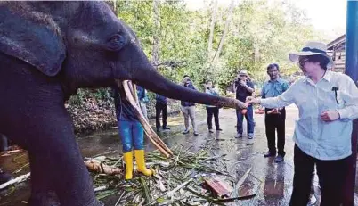  ?? [ FOTO MOHD ADAM ARININ/BH ] ?? Christina Liew melawat Taman Hidupan Liar Lok Kawi, Penampang susulan kematian dua ekor gajah.