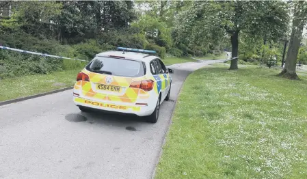  ??  ?? Police in Mowbray Park.