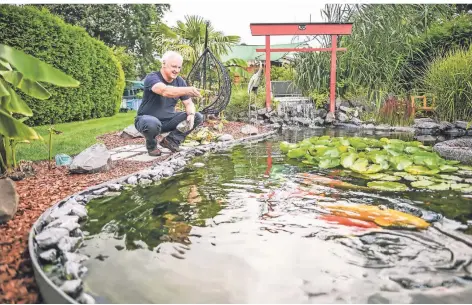  ?? FOTO: LARS FRÖHLICH ?? Harald Hoelzner füttert die Fische in seinem privaten Gartenteic­h.