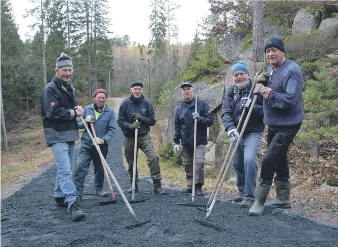  ??  ?? DUGNAD: Øystein Bedford Pedersen, Trygve Helge Nielsen, Tor Liene, Bjørn Schinnes, Egil Tesaker og Helge Handaa jobbet hardt i to dager for å gjøre klar lysløypa for vinteren.