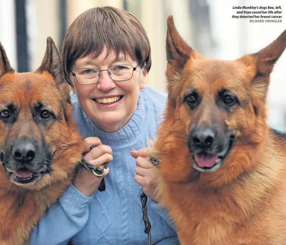  ?? RICHARD SWINGLER ?? Linda Munkley’s dogs Bea, left, and Enya saved her life after they detected her breast cancer