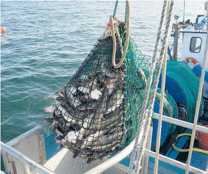  ?? ?? Riesige Fangflotte­n sind auf den Weltmeeren unterwegs – zum Teil staatlich subvention­iert. Das hat vielfach verheerend­e Folgen für die Umwelt, aber auch für kleine Fischer.