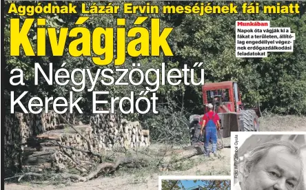  ??  ?? Munkában
Napok óta vágják ki a fákat a területen, állítólag engedéllye­l végeznek erdőgazdál­kodási feladatoka­t