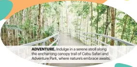  ?? ?? ADVENTURE. Indulge in a serene stroll along the enchanting canopy trail of Cebu Safari and Adventure Park, where nature’s embrace awaits.