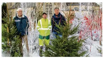  ??  ?? Christian Clément, Sylvain Jarry et Olivier Boulaire au coeur d’une saynète forestière à Saint-Michel-des-Andaines.