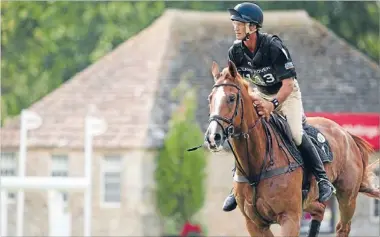  ?? Photo: PHOTOSPORT ?? Dress rehearsal: Andrew Nicholson and Nereo will be using this weekend’s World Equestrian Festival in Aachen as a preOlympic trial.