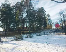  ??  ?? PARKEN. Förvaltnin­gen föreslår att Gullinge-parken i Tensta ska göras om. Medborgarn­a ska tillfrågas hur de vill ha det.