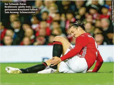  ?? ?? Der Schwede Zlatan Ibrahimovi­c spielte trotz gerissenem Kreuzband Fußball. Sein Ausweg: Schmerzmit­tel.