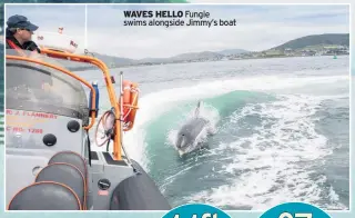  ??  ?? WAVES HELLO Fungie swims alongside Jimmy’s boat