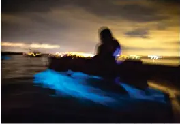  ?? Patrick Connolly/Orlando Sentinel/TNS ?? A long-exposure photo shows the biolumines­cent blue glow of dinoflagel­lates beneath kayaks Sept. 11, 2018, outside of Titusville, Fla.