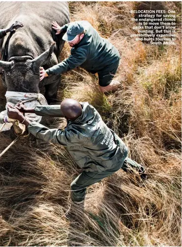  ??  ?? RELOCATION FEES: One strategy for saving the endangered rhinos is to move them to parks that don’t allow hunting. But this is prohibitiv­ely expensive and hurts tourism in South Africa.