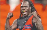  ?? ?? Anthony McDonaldTi­pungwuti celebrates a goal during his playing days with Essendon. Picture: Michael Klein