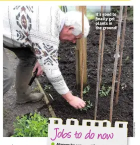  ??  ?? It’s good to finally get plants in the ground!