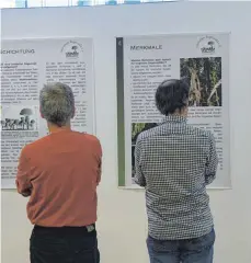  ?? FOTO: DAGMAR HUB ?? Besucher betrachten bei der Regenwaldn­acht im Ulmer Stadthaus Informatio­nsplakate zum Thema.