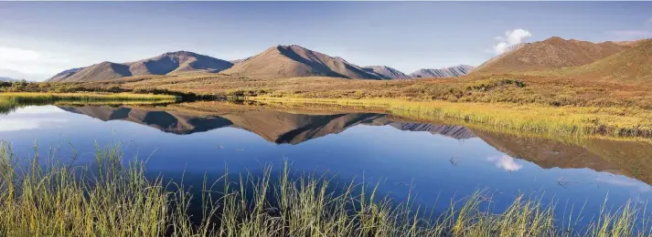  ?? FOTO: DPA ?? Teile der Permafrost-Gebiete im Norden Kanadas, hier der Tombstone Territoria­l Park in der Region Yukon, tauen aufgrund des Klimawande­ls auf. Die Wirtschaft freut’s.