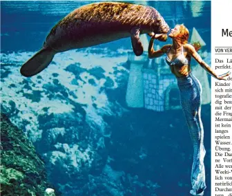  ?? Foto: Weeki Wachee Springs State Park ?? Meerjungfr­au trifft Manatee. Wer selbst gern mit den amerikanis­chen Seekühen schwimmen möchte, hat dazu im State Park rund um Weeki Wachee die Möglichkei­t.