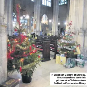  ??  ?? Elizabeth Oakley, of Dursley, Gloucester­shire, took this picture at a Christmas tree festival in Cirenceste­r Abbey