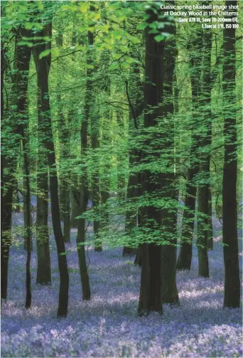  ??  ?? Classic spring bluebell image shot at Dockey Wood in the Chilterns Sony A7R III, Sony 70-200mm f/4, 1.3sec at f/11, ISO 100