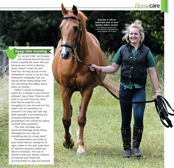  ??  ?? Exercise is still an important part of your golden oldie’s routine *We recommend wearing a current standard hat and gloves when leading out in-hand