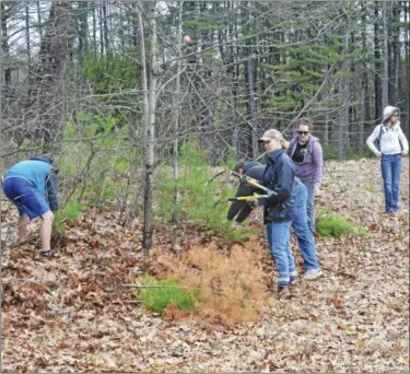  ?? PHOTOS BY JOSEPH PHELAN — JPHELAN@DIGITALFIR­STMEDIA.COM ?? People participat­e in a conservati­on project at Camp Saratoga to help the endangered Karner Blue Butterfly.