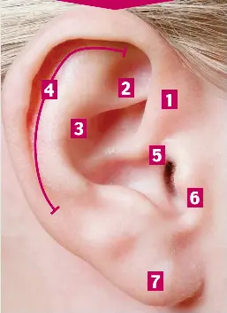  ??  ?? TheRe’S so much more to your ear than the lobe. From anxiety to headaches, alternativ­e therapists believe stimulatin­g different parts can help alleviate problems elsewhere...