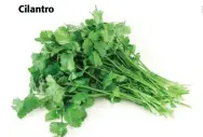  ??  ?? Cilantro