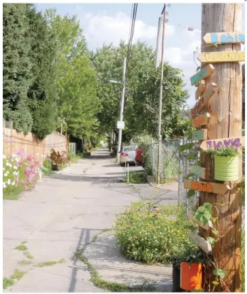  ?? PHOTO AGENCE QMI, FRÉDÉRIC T. MUCKLE ?? La ruelle verte située entre les rues Louis-Hémon et des Écores est l’un des 10 projets sélectionn­és par l’arrondisse­ment Rosemont–La Petite-Patrie en 2017.