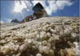  ?? ROBERT F. BUKATY — THE ASSOCIATED PRESS FILE ?? On March 12, road salt is mixed by a front-end loader prior to loading onto public works trucks in Freeport, Maine. Budget-busting road salt prices are leaving local officials hoping for a mild winter.