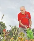  ?? FOTO: THILO BERGMANN ?? Hans-Peter Schumacher vom Verein der Gartenfreu­nde Meckenbeur­en gießt die Blumen in seinem Garten.