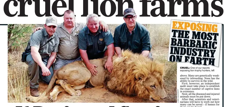  ??  ?? CRUEL: One of our reports exposing lion trophy hunters, left