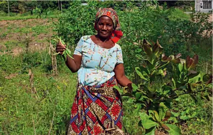  ?? ?? Madalena João shows produce on one of her farms