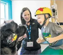  ?? Marcus Yam Los Angeles Times ?? GORDON, a therapy dog, helps cheer up Theodore Ward, 5, with physical therapist Kim Kaloustian at Children’s Hospital L.A.