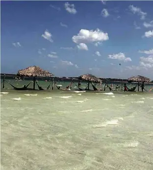  ?? Dante Ferrasoli/Folhapress ?? Lagoa do Paraíso, em Jijoca de Jericoacoa­ra, com águas mornas sempre disputadas