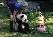  ?? — AFP ?? A member of staff ( above left) carries panda cub Yuan towards his birthday cake in France on Friday.