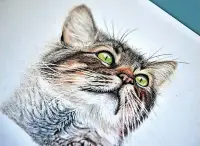  ?? ?? ●Victoria specialise­s in charcoal and graphite drawings of pets