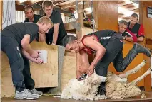  ?? PHOTO: FAIRFAX NZ ?? Timekeeper Darin Forde encourages Invercargi­ll shearer Leon Samuels to an ewe-shearing record of 605 sheep in eight hours.