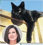  ??  ?? A black cat called Suki.
Early starts and dancing.
Mansplaini­ng.
Breakfast TV presenter Susanna Reid.