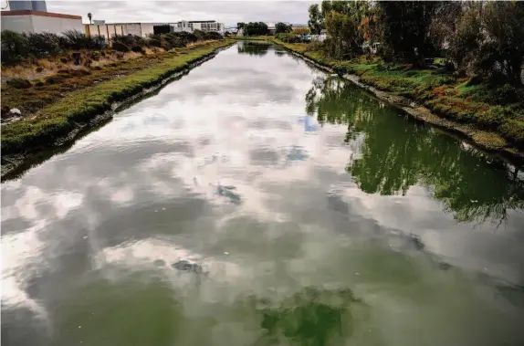  ?? Noah Berger/Special to The Chronicle ?? Colma Creek, a tributary of San Francisco Bay adjacent to the now-shuttered Jackson Arms gun range, was contaminat­ed with lead emissions from the range.