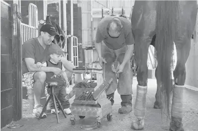  ??  ?? MacDonald’s young son Alex already seems to love horses, walking them, seeing them being trained or given new shoes.