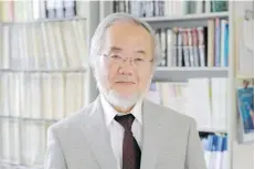  ??  ?? Yoshinori Ohsumi won the Nobel Prize for his discoverie­s in autophagy.