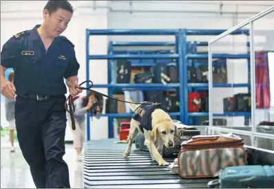  ?? FENG YONGBIN / CHINA DAILY ?? A sniffer dog looks for suspicious items on a baggage carousel during its daily training sessions in Beijing on Friday, an open-day event organized by the Beijing Customs District, in preparatio­n for the Internatio­nal Day Against Drug Abuse and Illicit...