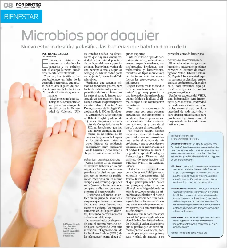  ?? LAS plantas de los pies son uno de los lugares favoritos de algunas bacterias. ??