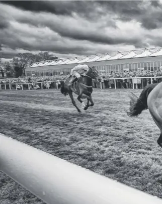  ??  ?? If Pete Martin’s horse was in this picture, it would be somewhere to the left, but at least it had a run out – ‘The Truth’ in the Brexit debate was a nobbled non-runner