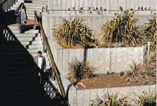  ?? Michael Macor / The Chronicle ?? Just outside Powell Station, Hallidie Plaza’s terraced concrete planter boxes are filled with brown plants and pigeons.