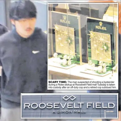  ??  ?? SCARY TIME: The man suspected of shooting bystander during a Rolex stickup at Roosevelt Field mall Tuesday is taken into custody after an off-duty cop and a retired cop subdued him.