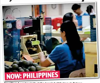  ??  ?? NOW: PHILIPPINE­S Gruelling: A worker toils at the tennis ball factory in Bataan