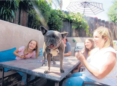  ?? KAREN PEARLMAN/THE SAN DIEGO UNION-TRIBUNE ?? Many families adopted new animals during the pandemic, and it will take some adjusting for the pets to become accustomed to spending more time alone.