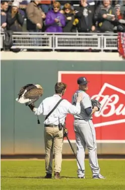  ?? PHOTOS BY AP ?? The handler for an American eagle pats check on James Paxton after the bird chose to land on his shoulder instead.